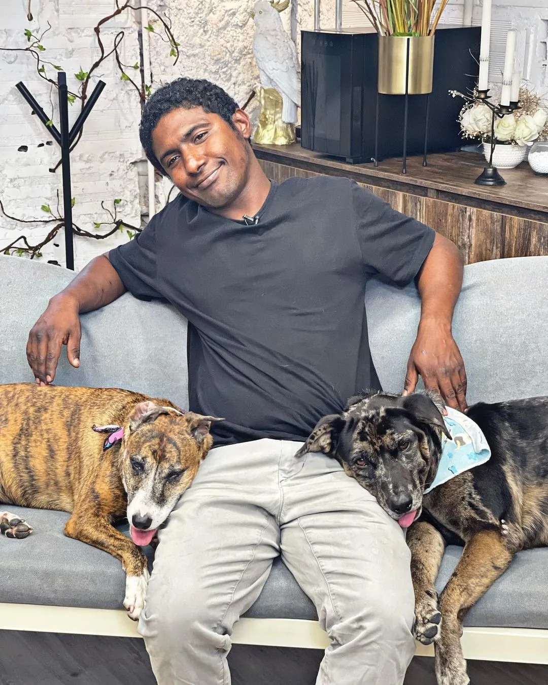 Mann mit seinen zwei Hunden auf dem Sofa