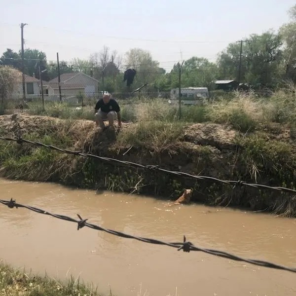 Mann versucht Hund zu retten aus einem Kanal