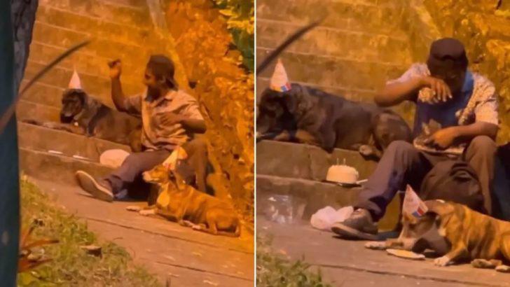 Obdachloser Mann wird dabei gefilmt, wie er eine Geburtstagsparty für seine Hunde vorbereitet