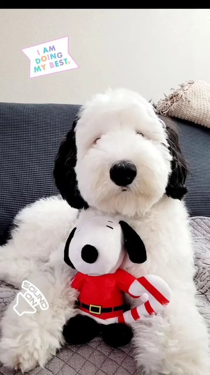 Snoopys Doppelgaenger