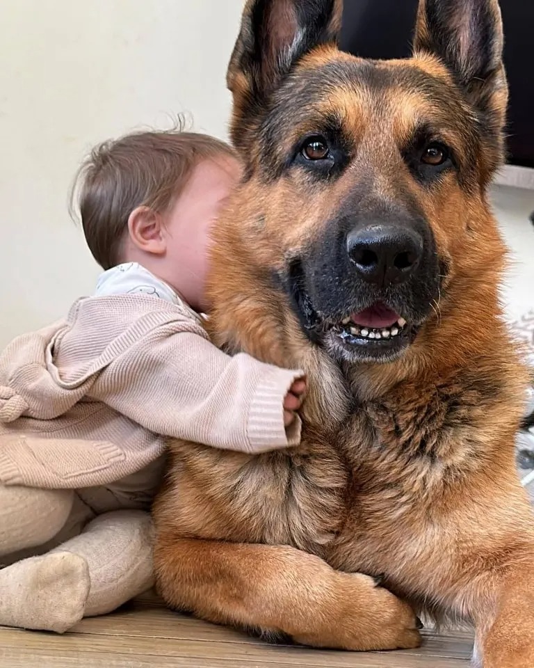 Baby umarmt Hund