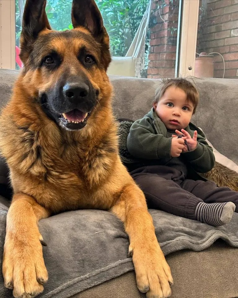 Baby und Hund sitzen auf Sofa