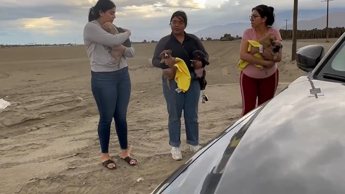 Drei Frauen retten Welpen
