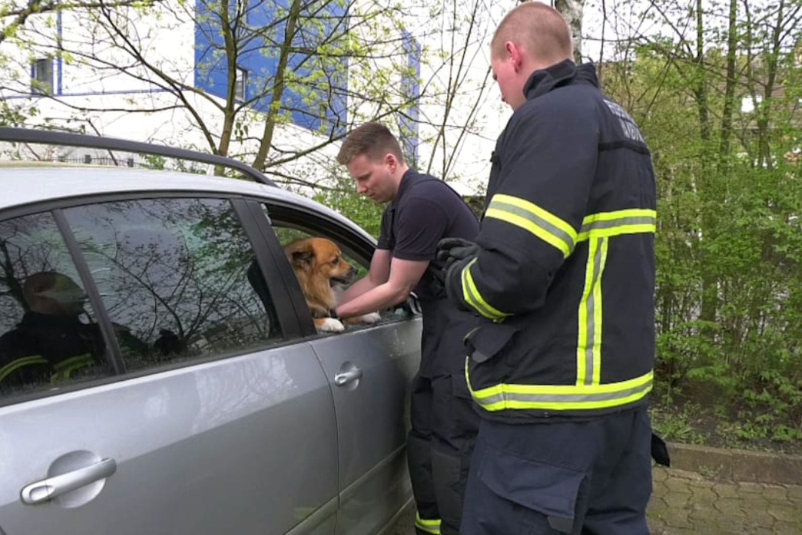 Feuerwehrleute retten Hund aus Auto