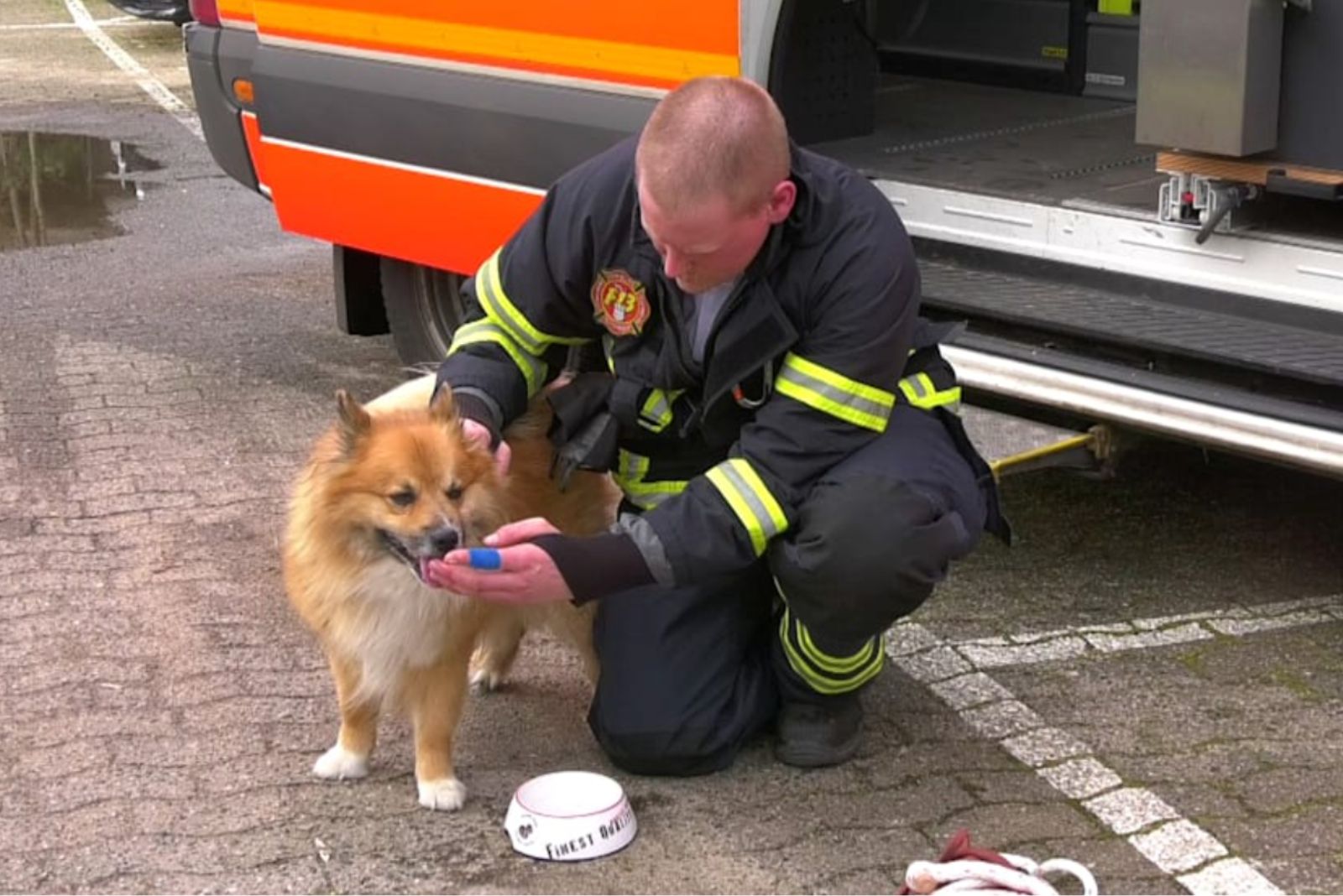 Feuerwehrmann gibt dem Hund Wasser