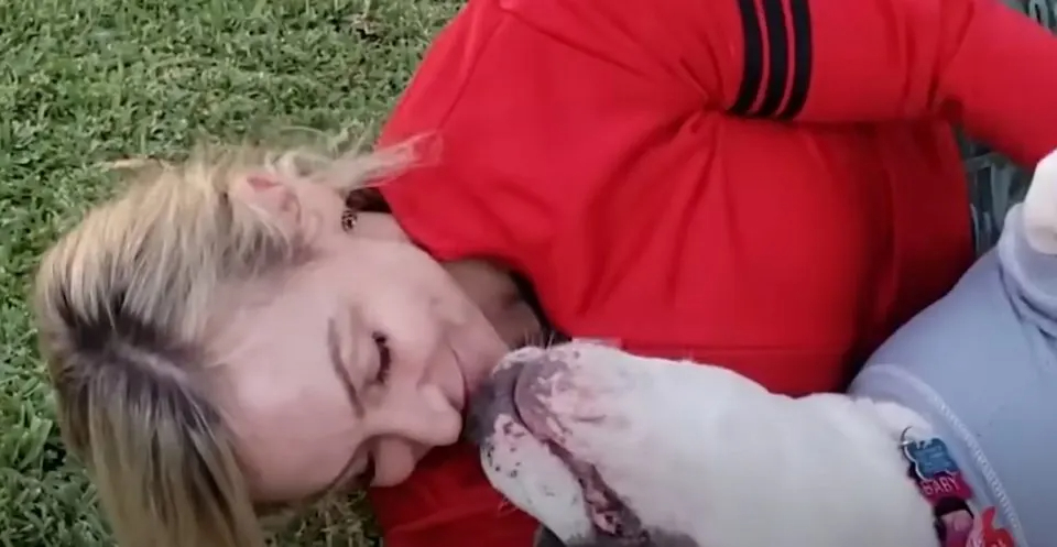 Frau liegt mit Pitbull auf Gras