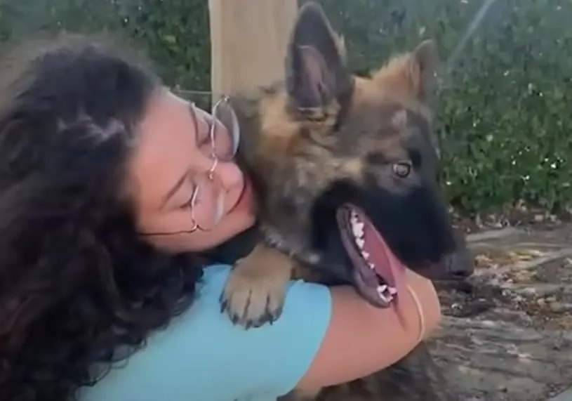 Frau umarmt Hund