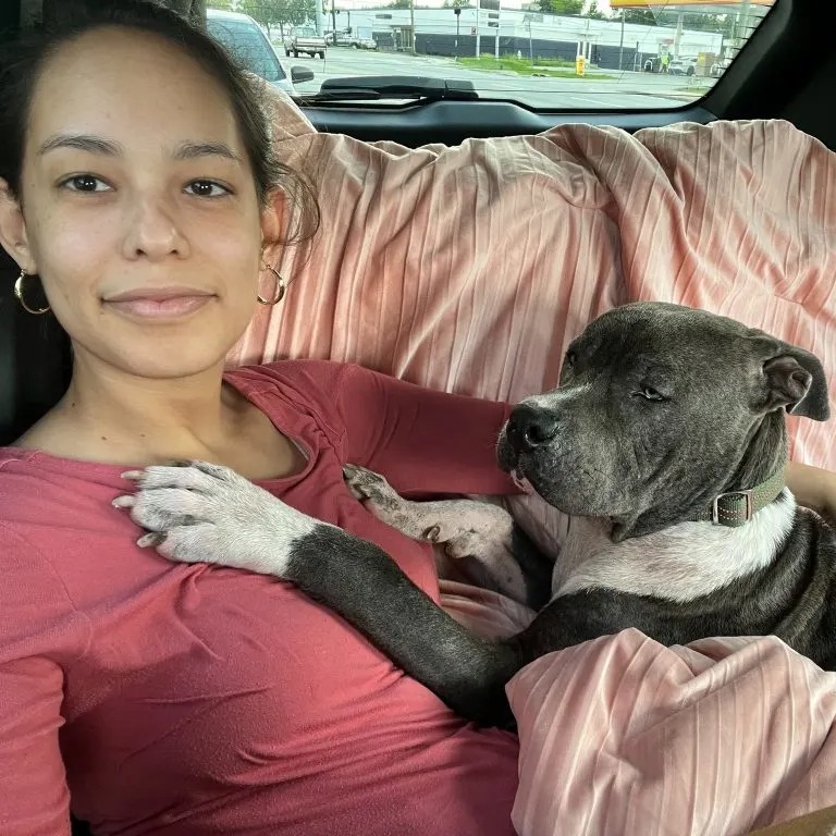 Hund im Auto mit einer Frau