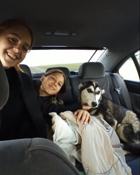 Hund mit seinen Rettern im Auto