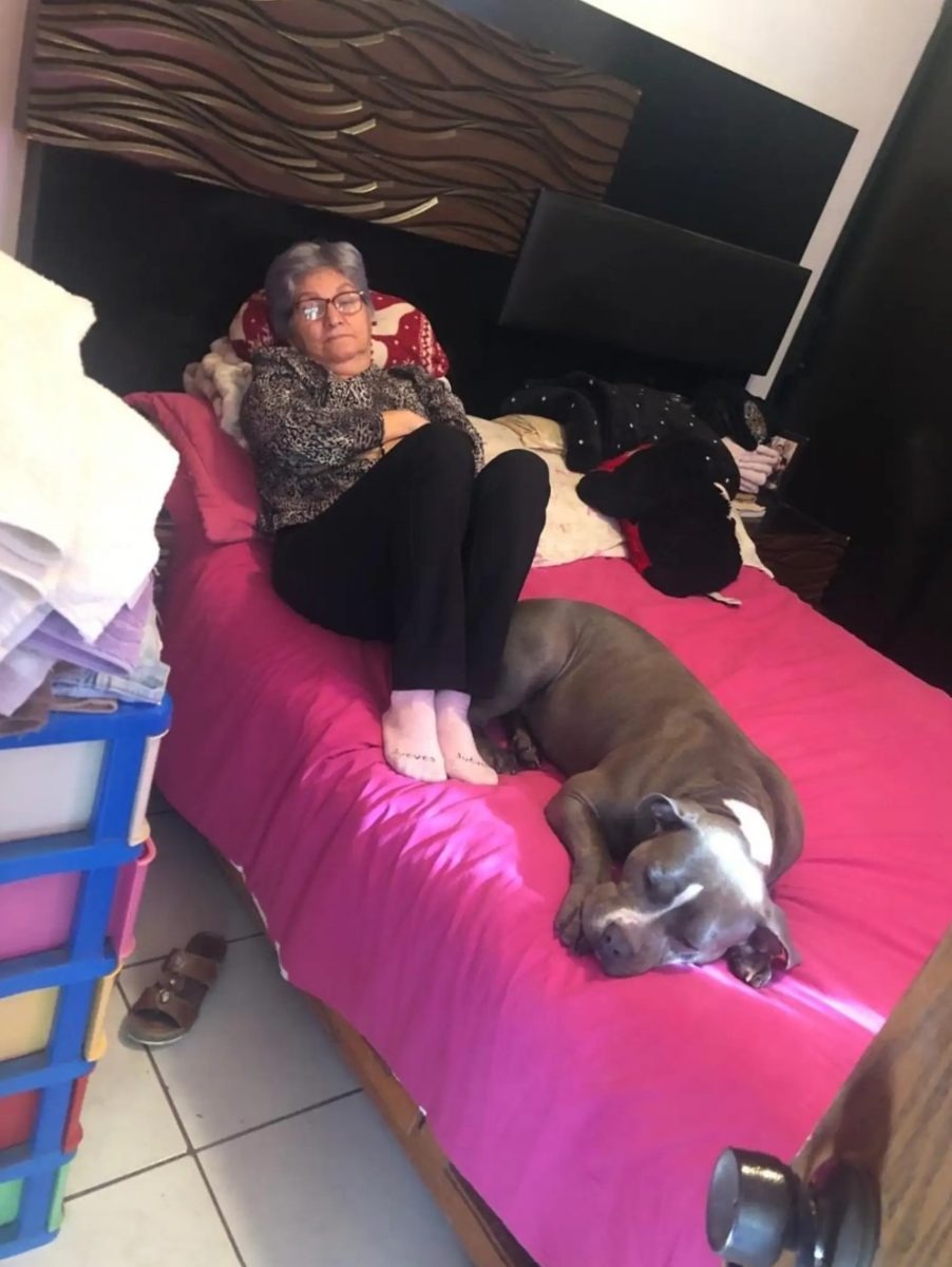 Hund schlaeft mit Oma auf dem Bett