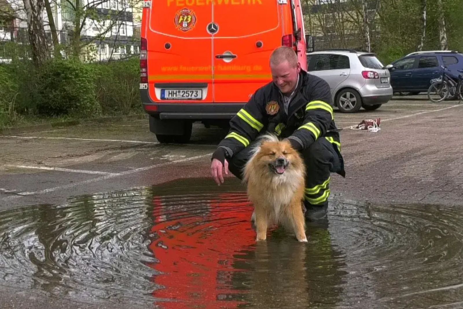 Hund und Feuerwehrmann in Pfuetze