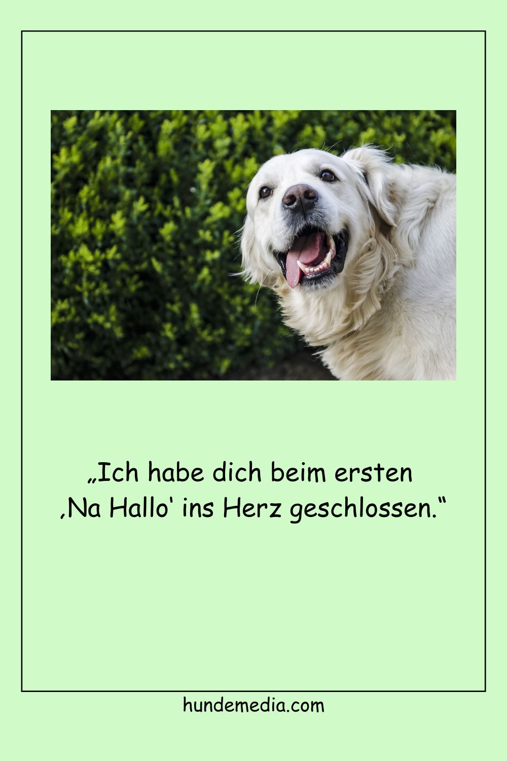 Ich habe dich beim ersten ‚Na Hallo‘ ins Herz geschlossen