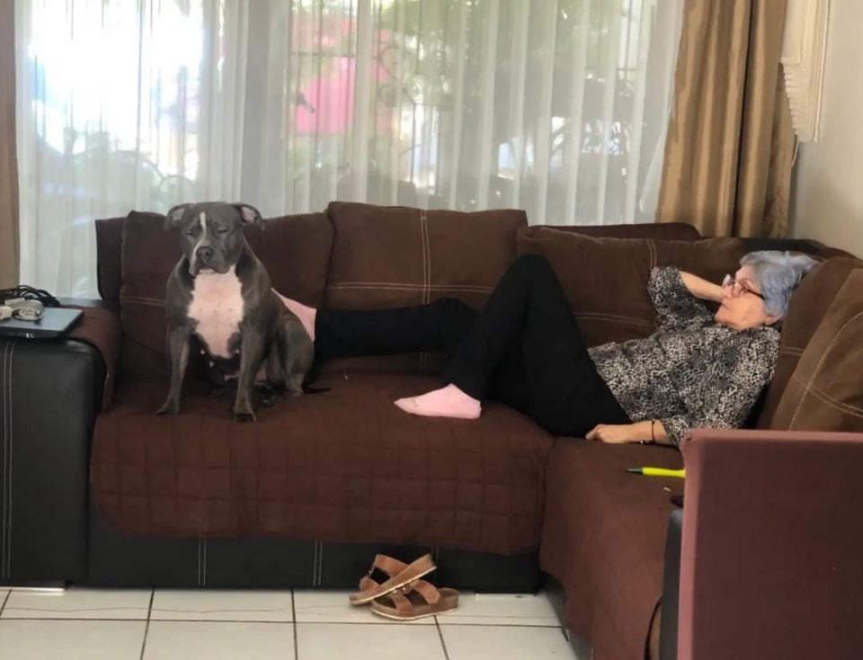 Oma mit Hund auf der Couch