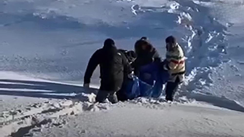 Retter helfen einem Hund aus dem Schnee
