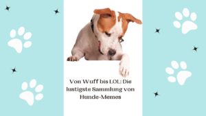 Von Wuff bis LOL Die lustigste Sammlung von Hunde Memes