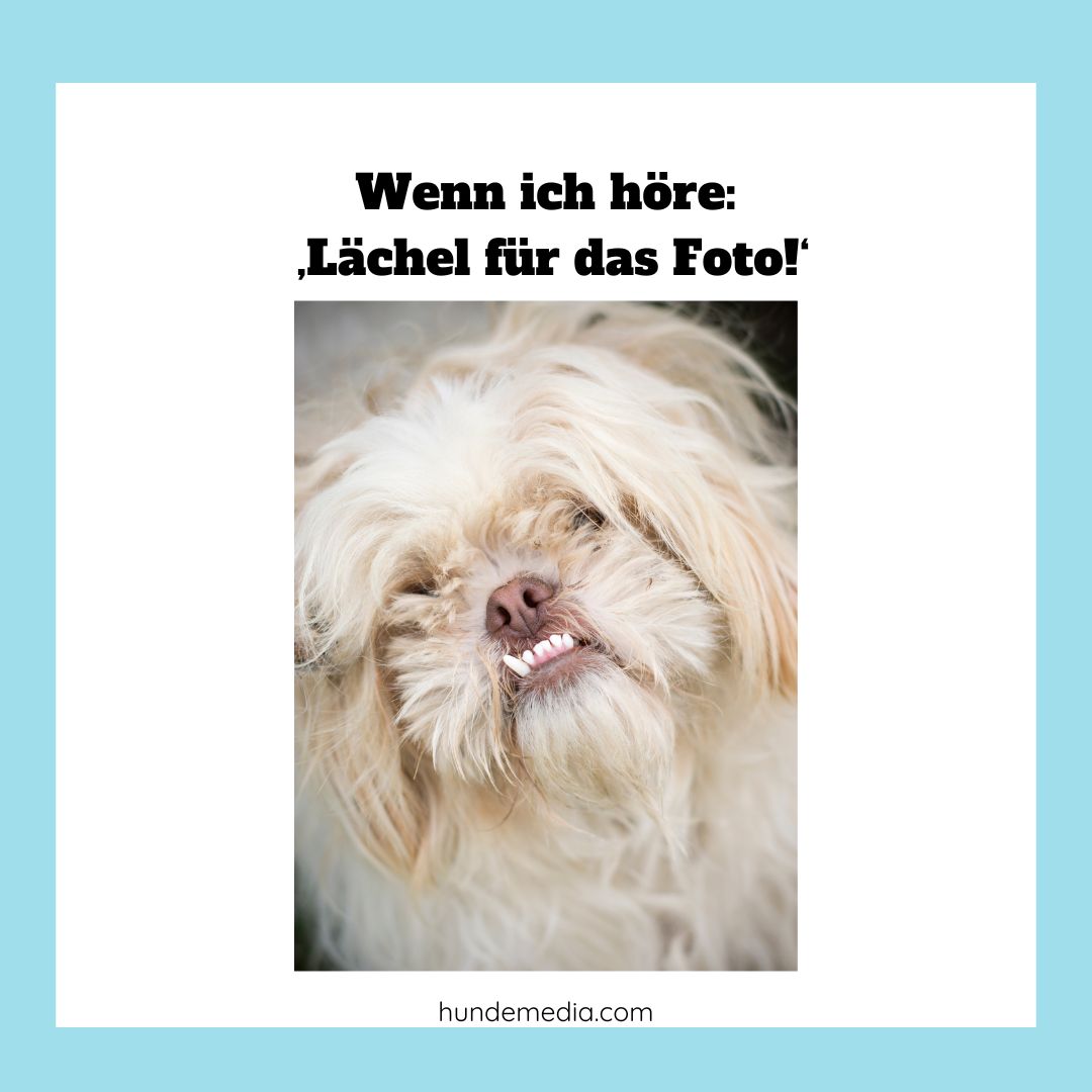 Wenn ich hoere‚ Laechel fuer das Foto