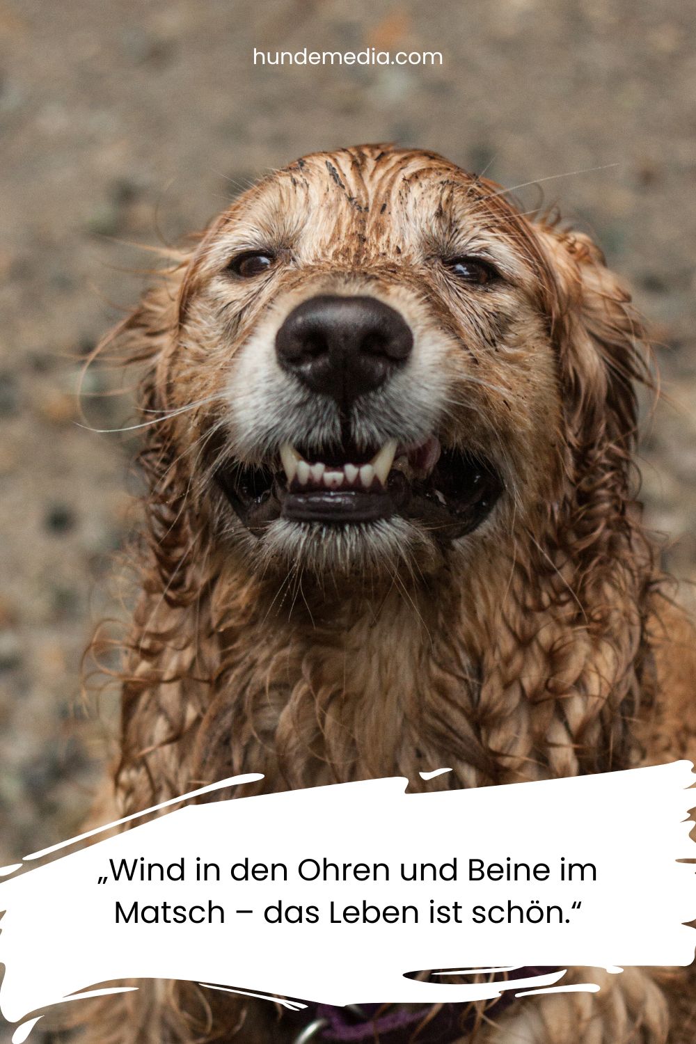 Wind in den Ohren und Beine im Matsch – das Leben ist schoen