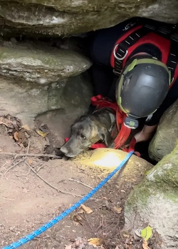 Ein Mann rettete einen Hund aus einer Hoehle