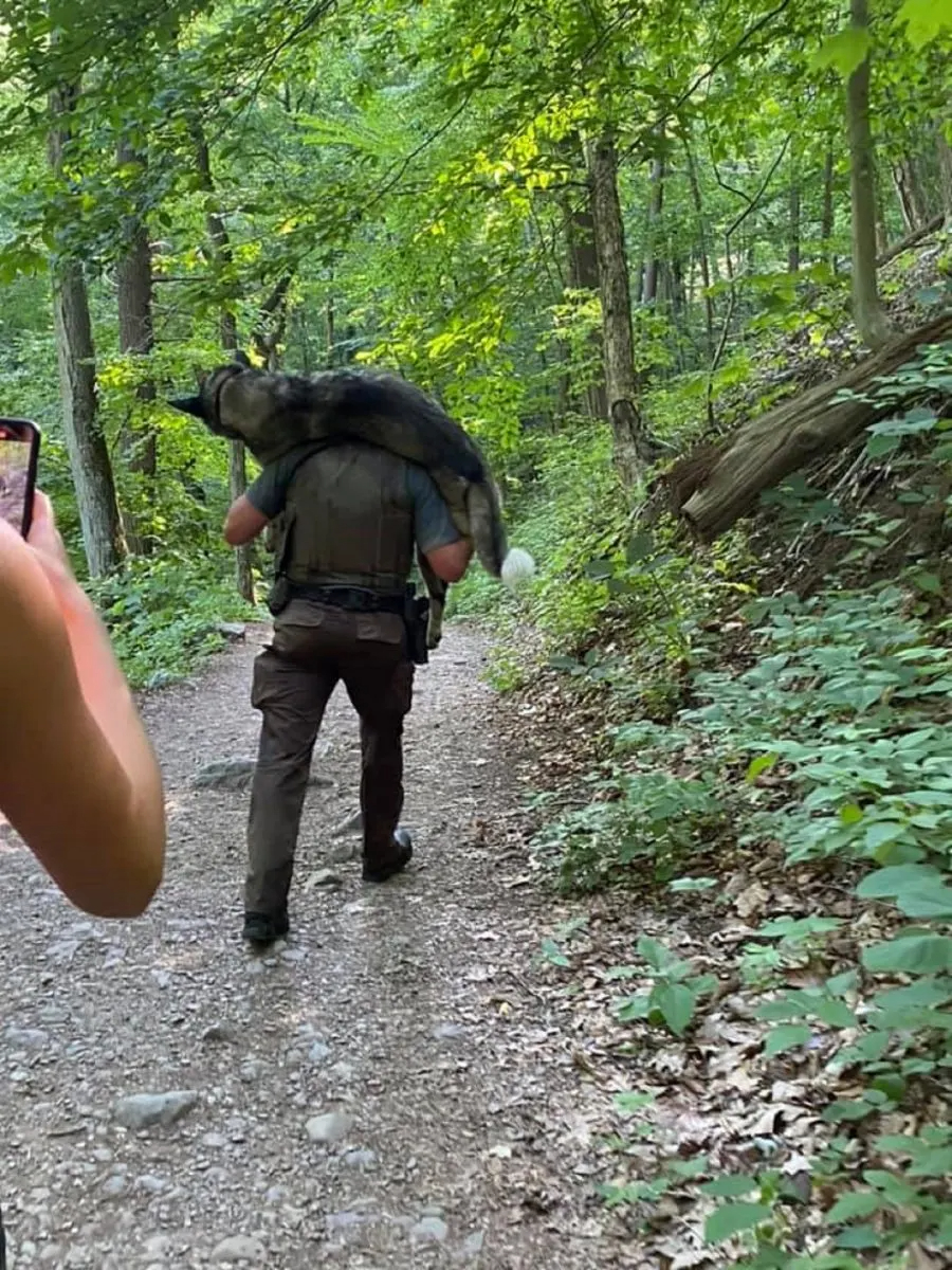 Foester traegt Schaeferhund auf seinem Ruecken