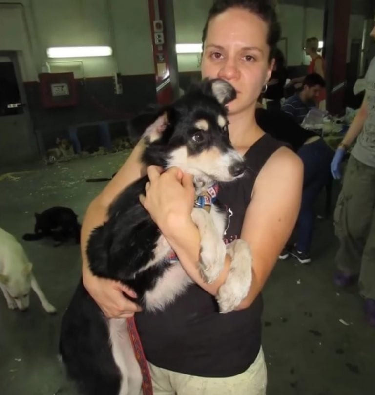 Frau haelt einen Hund im Arm