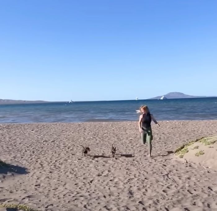 Frau laeuft mit Welpen am Strand