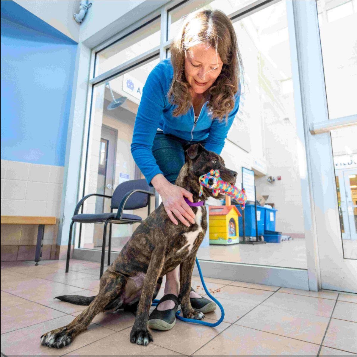 Frau mit Hund 