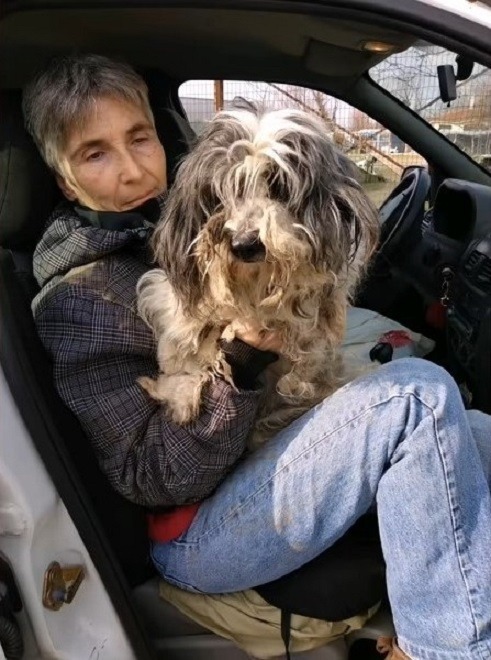 Frau und Hund im Auto