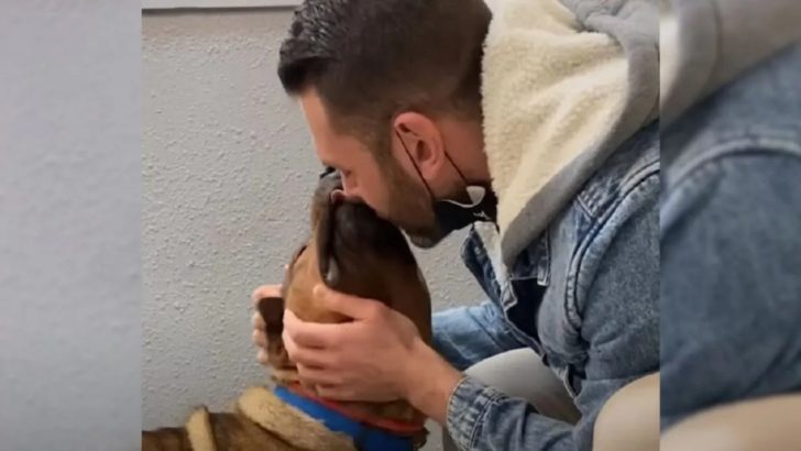 Hund, der wegen seines schlechten Benehmens im Tierheim abgegeben wurde, findet ein Zuhause für immer