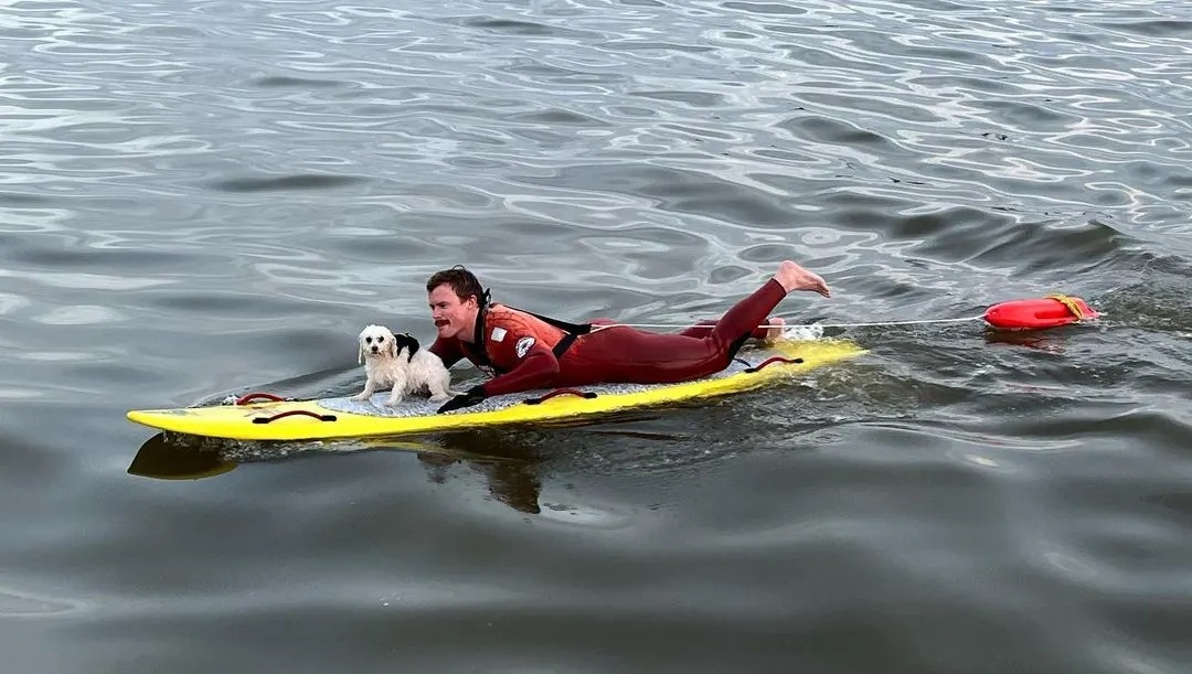 Hund mit Retter auf einem Rettungsbrett