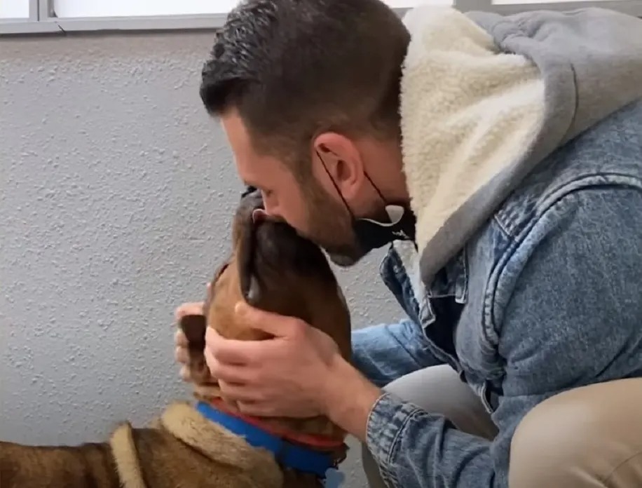 Mann umarmt Hund