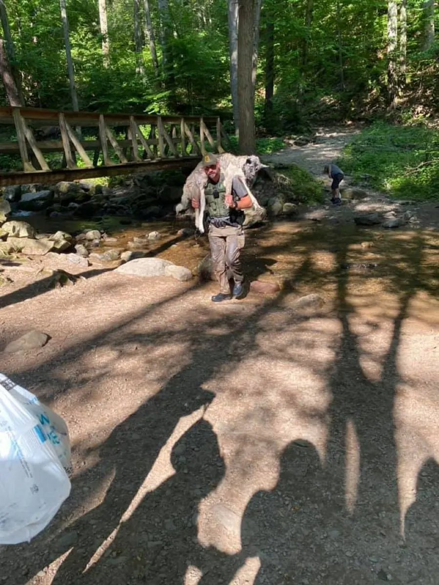 Tapferer Foester mit Hund auf dem Ruecken im Wald