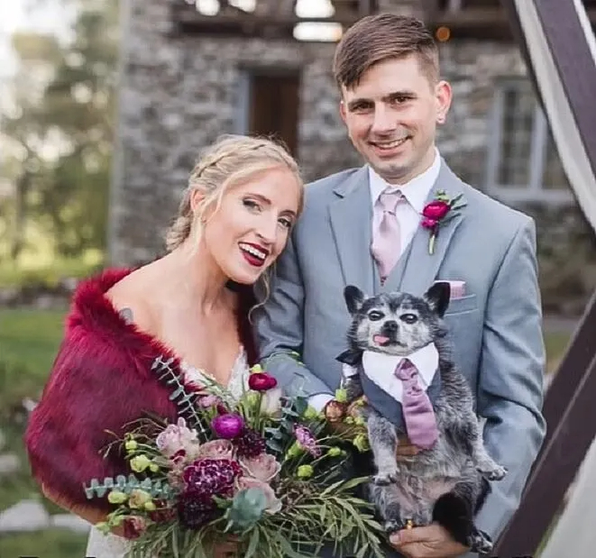 Ehepaar auf ihrer Hochzeit mit Hund