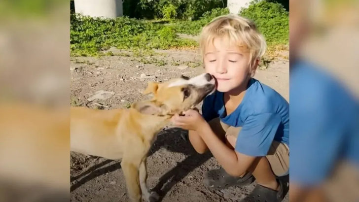 Ein freundlicher kleiner Junge findet zwei verlassene Welpen und beschließt, sie zu retten