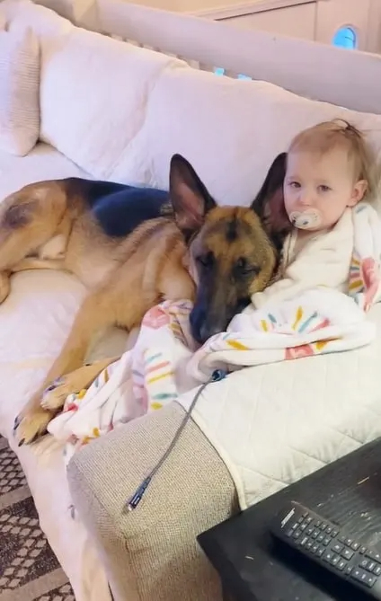 Hund liegt bei kleinem Baby auf dem Sofa