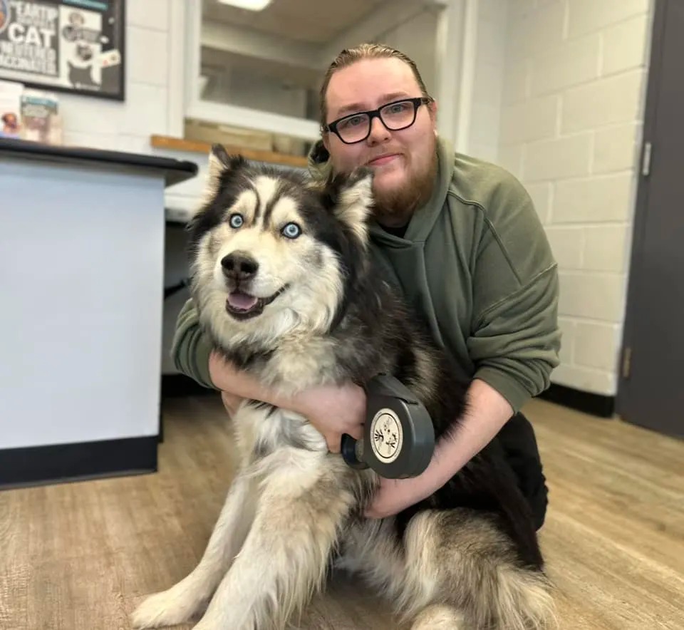 Hund mit seinem Besitzer wiedervereint