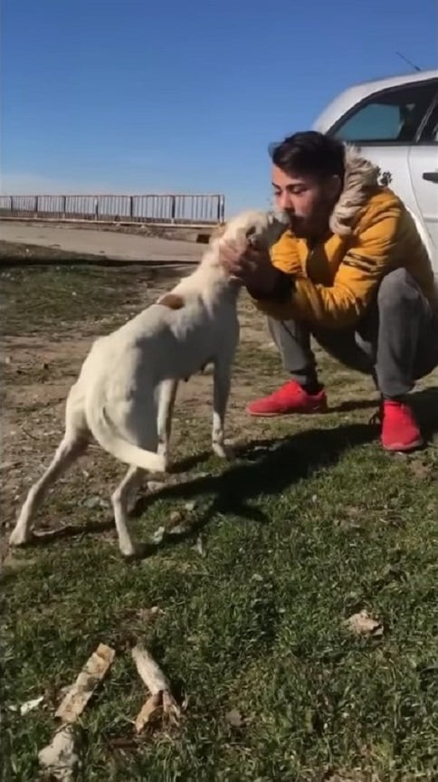 Mann streichelt einen Hund