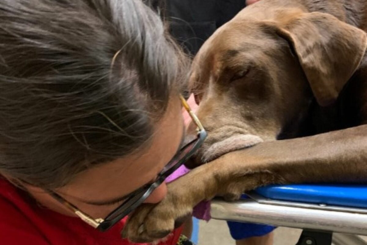 Frau verabschiedet sich von ihrem Hund