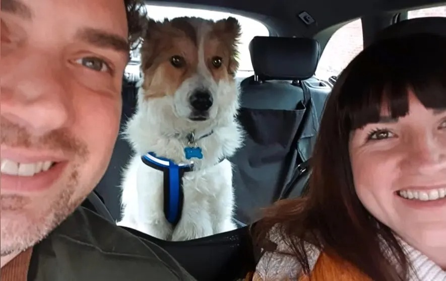 Hund mit neuer Familie im Auto