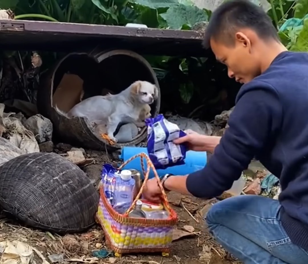 Mann bringt Futter und Wasser fuer die Hundefamilie