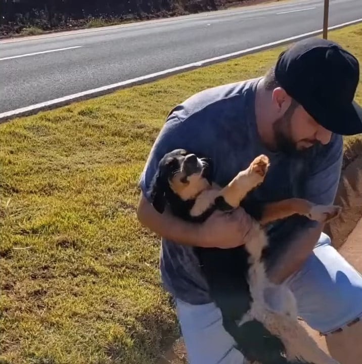 Mann hilft verletzten Hund