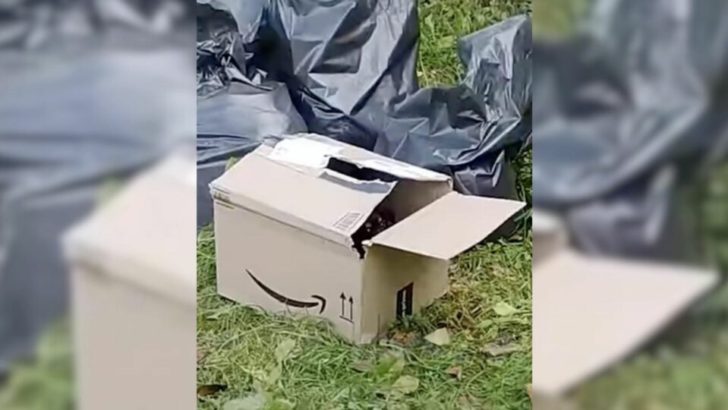 Mann stolpert über eine Amazon-Box, die am Straßenrand steht, und entdeckt darin eine schockierende Überraschung