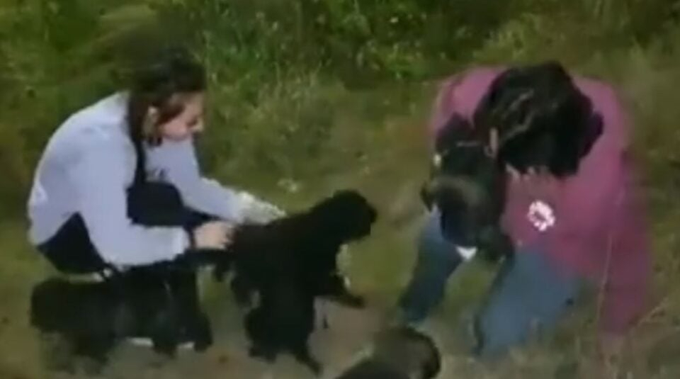 Zwei Frauen mit Hunden