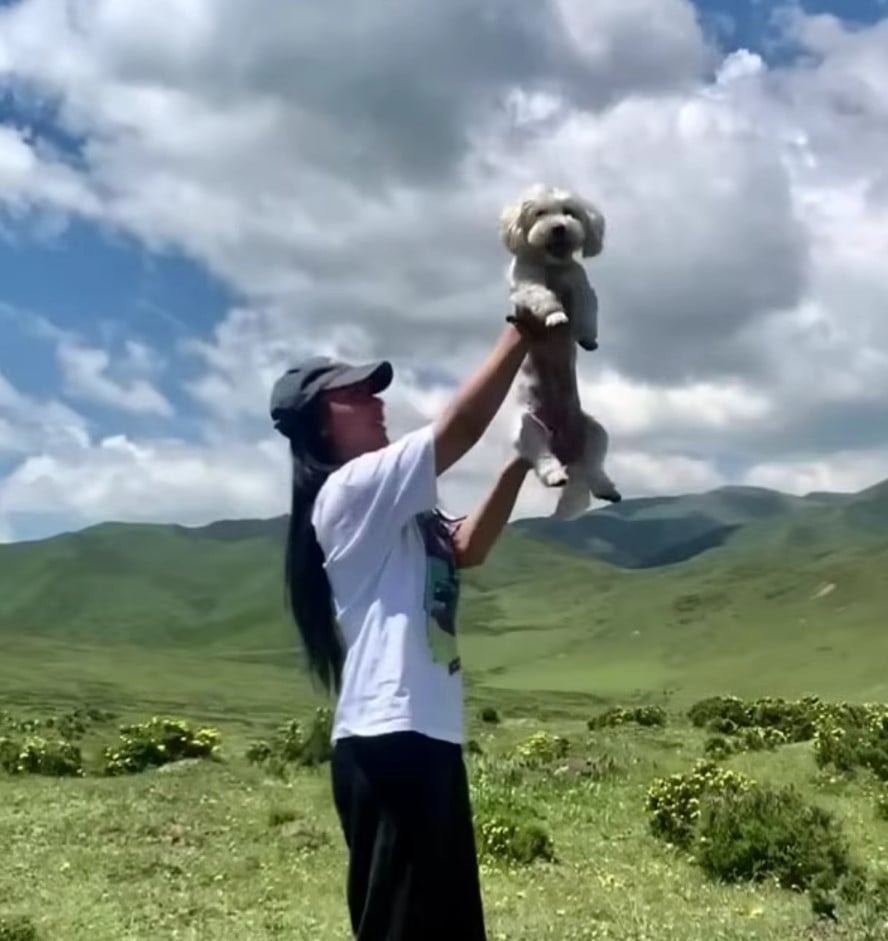 Hund wird von Frau hochgehalten