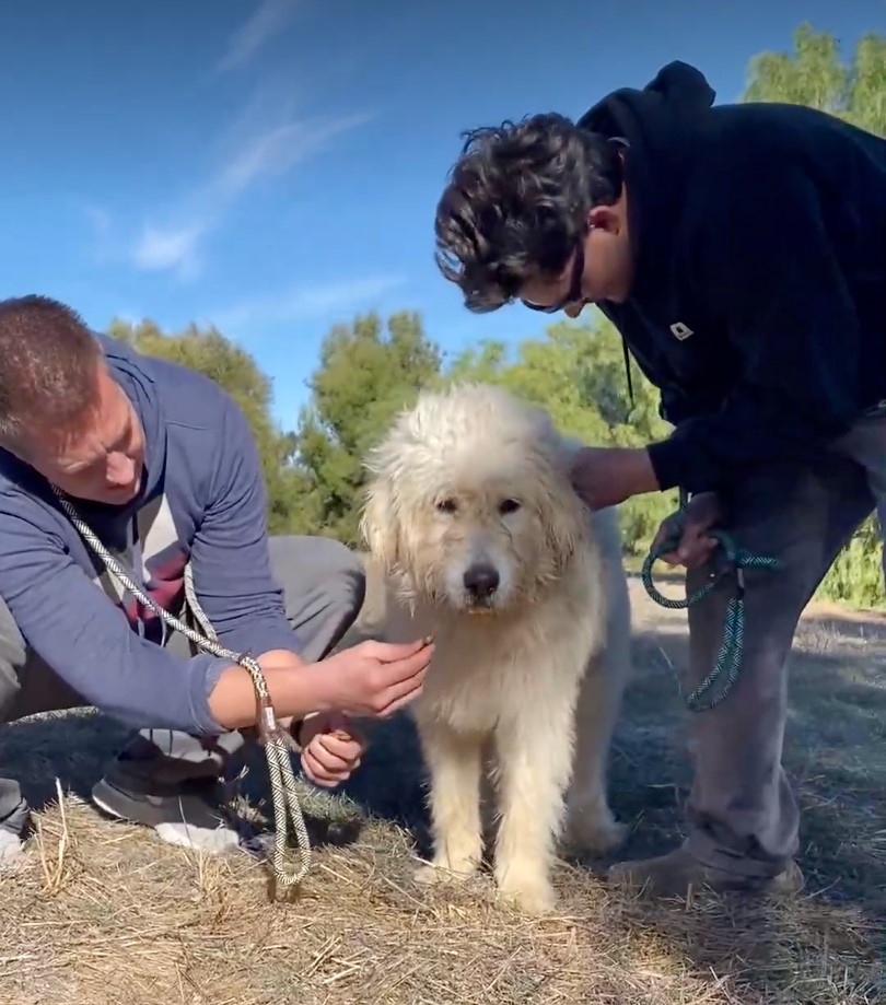 Zwei Maenner stehen neben weißen Hund