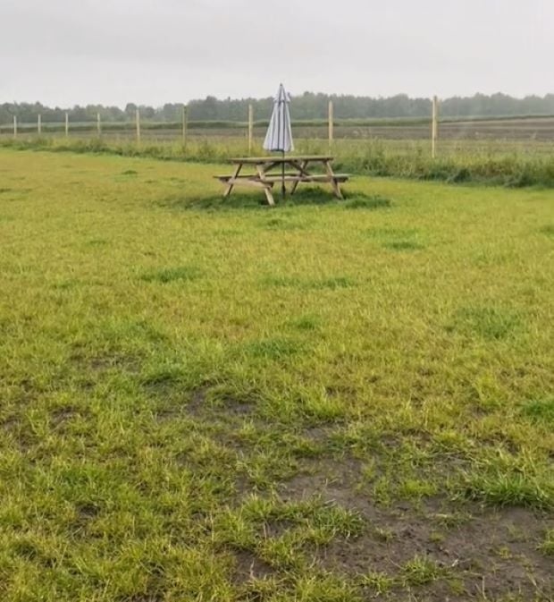 Feld mit Picknickbank