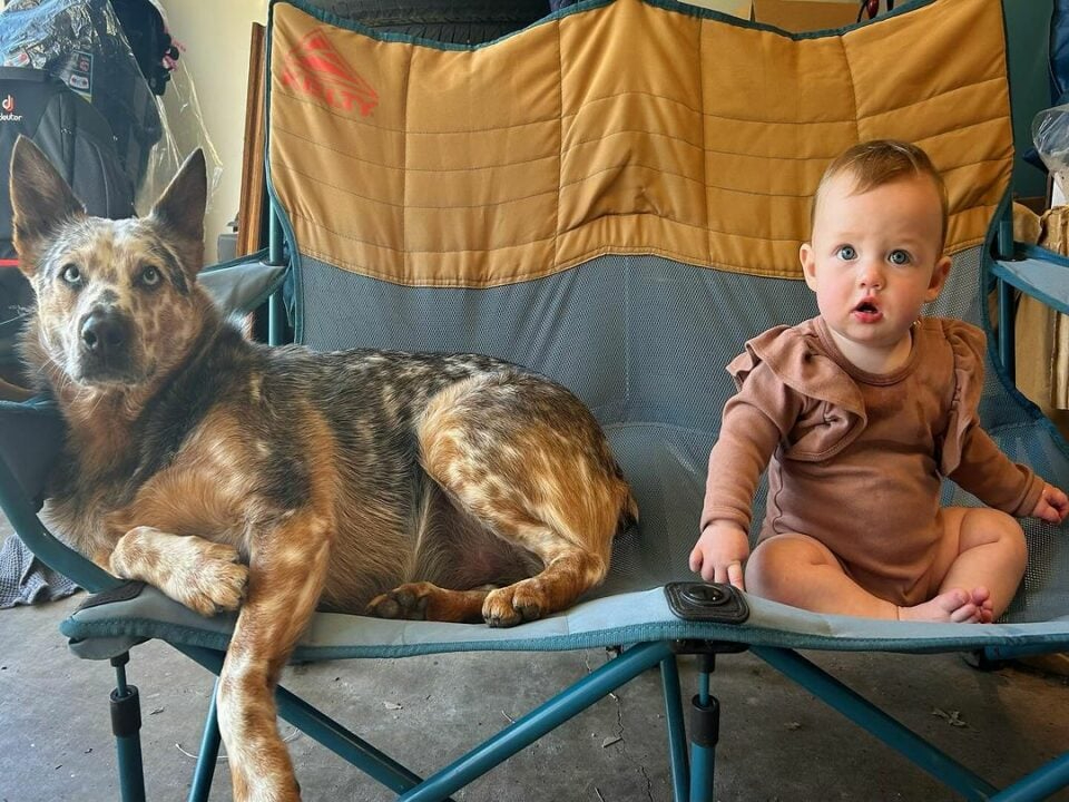 Hund und Baby sitzen im Stuhl