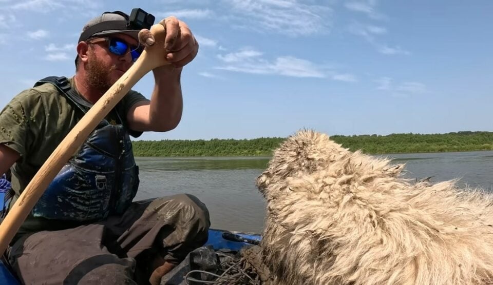 Hund und Mann auf einem Kanu