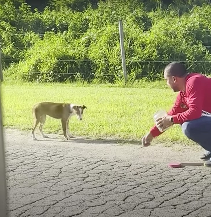 Mann versucht Hund naeher zu kommen