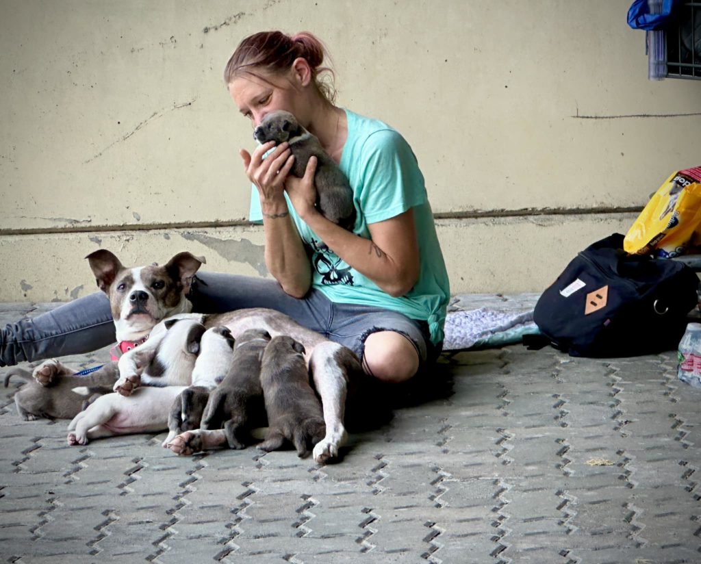 Obdachlose Frau mit Hundefamilie